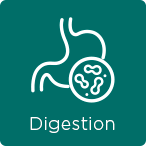 Digestion