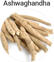 Ashwagandha