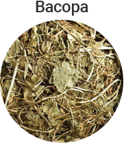 Bacopa