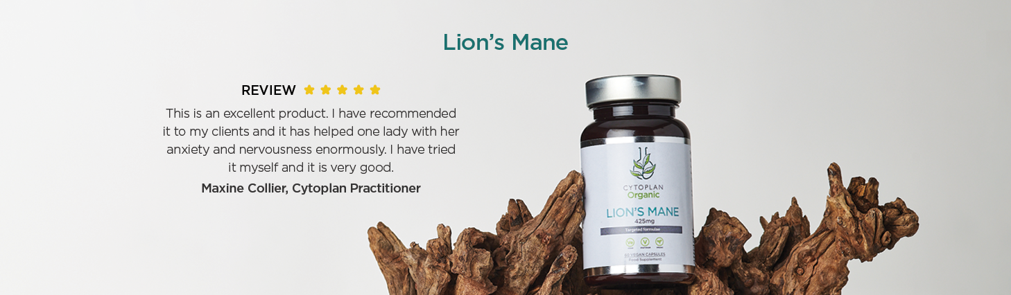 Lion's Mane Wellness Image